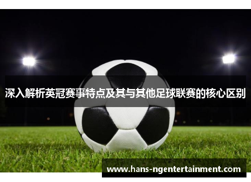 深入解析英冠赛事特点及其与其他足球联赛的核心区别